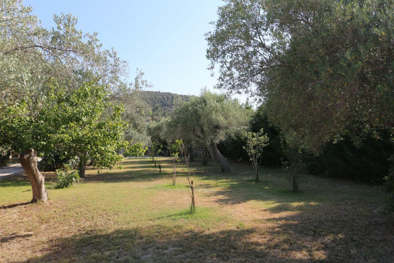Villa Argo 3 - Beachfront, Big Gardens, Location! Pefkochori Eksteriør billede