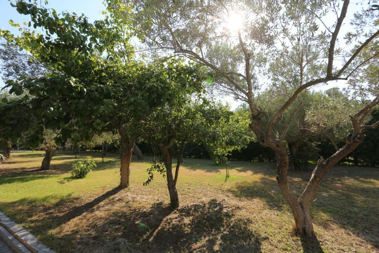 Villa Argo 3 - Beachfront, Big Gardens, Location! Pefkochori Eksteriør billede